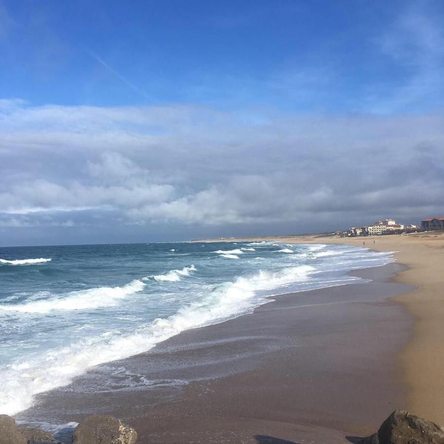 L Escapade Apartment Capbreton Ngoại thất bức ảnh